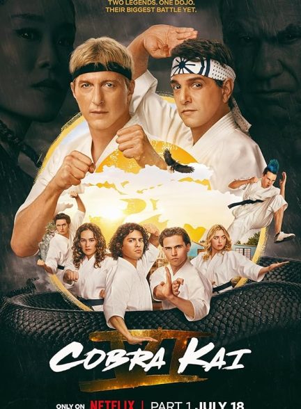 دانلود سریال  Cobra Kai
