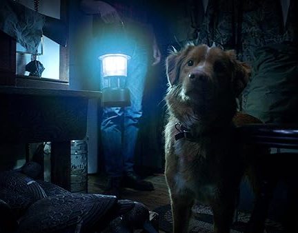 دانلود فیلم Good Boy