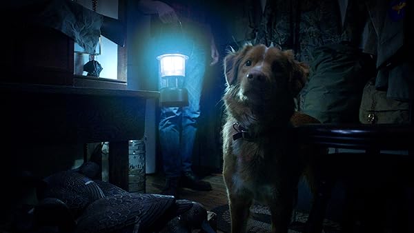 دانلود فیلم Good Boy